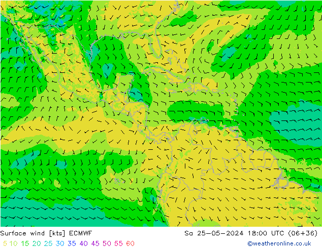 Surface wind ECMWF Sa 25.05.2024 18 UTC