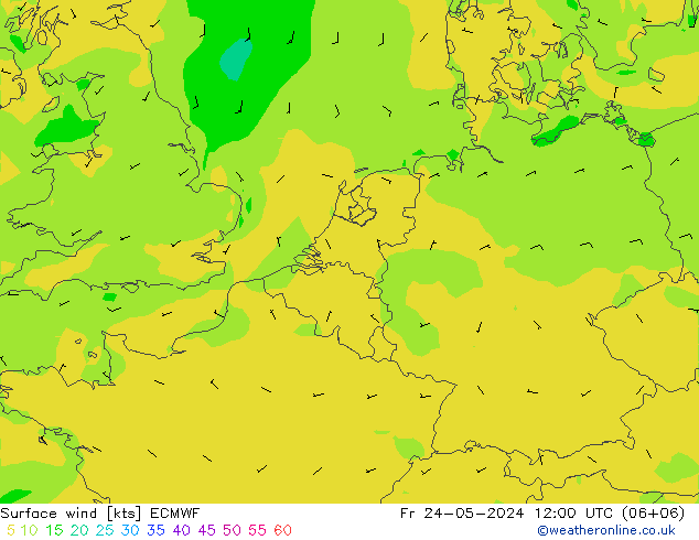 Bodenwind ECMWF Fr 24.05.2024 12 UTC