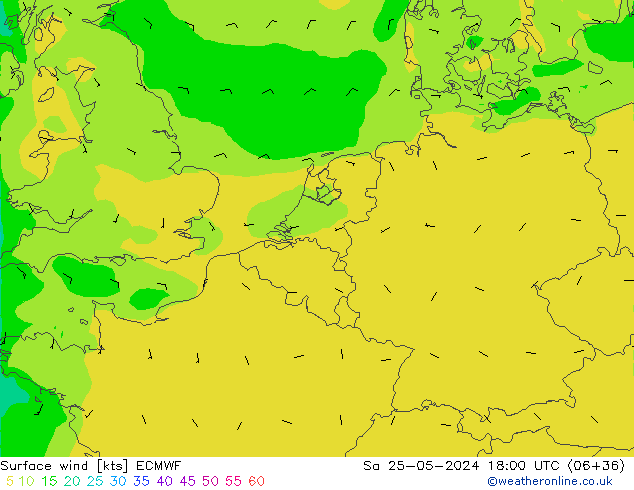 ветер 10 m ECMWF сб 25.05.2024 18 UTC