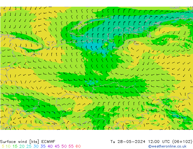 Surface wind ECMWF Tu 28.05.2024 12 UTC