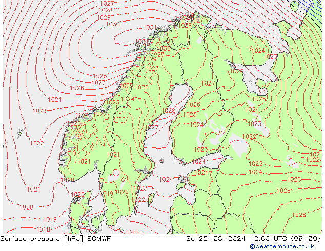      ECMWF  25.05.2024 12 UTC