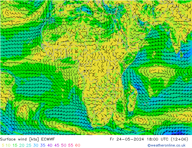 Vento 10 m ECMWF ven 24.05.2024 18 UTC