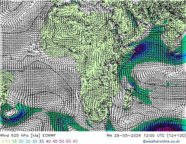 wiatr 925 hPa ECMWF śro. 29.05.2024 12 UTC