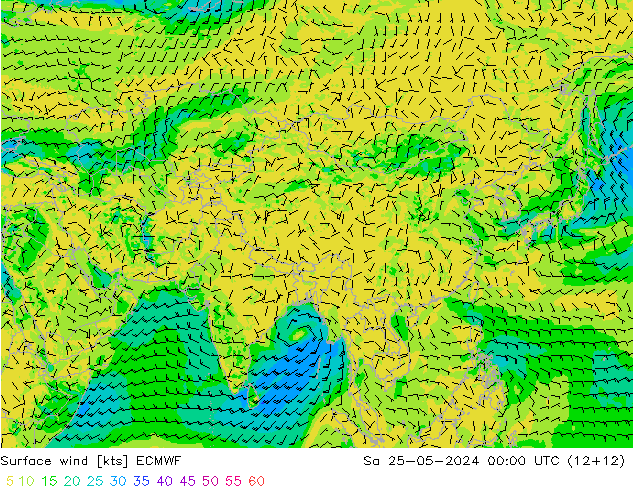 Surface wind ECMWF Sa 25.05.2024 00 UTC