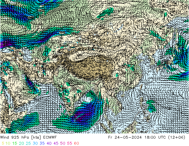 ветер 925 гПа ECMWF пт 24.05.2024 18 UTC