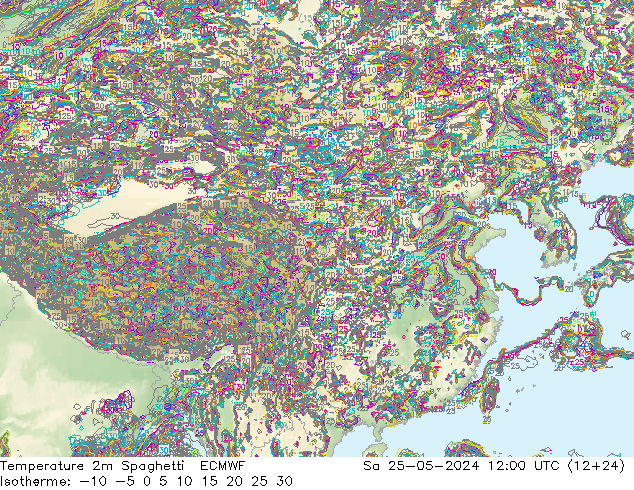 温度图 Spaghetti ECMWF 星期六 25.05.2024 12 UTC