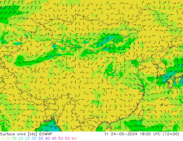 风 10 米 ECMWF 星期五 24.05.2024 18 UTC