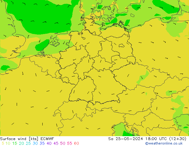 Vento 10 m ECMWF sab 25.05.2024 18 UTC