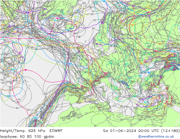 Height/Temp. 925 hPa ECMWF So 01.06.2024 00 UTC