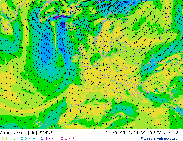  10 m ECMWF  25.05.2024 06 UTC