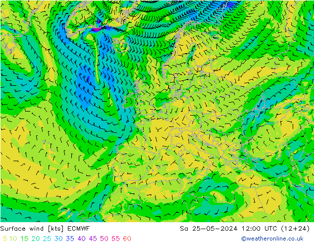 Viento 10 m ECMWF sáb 25.05.2024 12 UTC