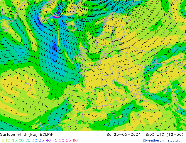 Wind 10 m ECMWF za 25.05.2024 18 UTC