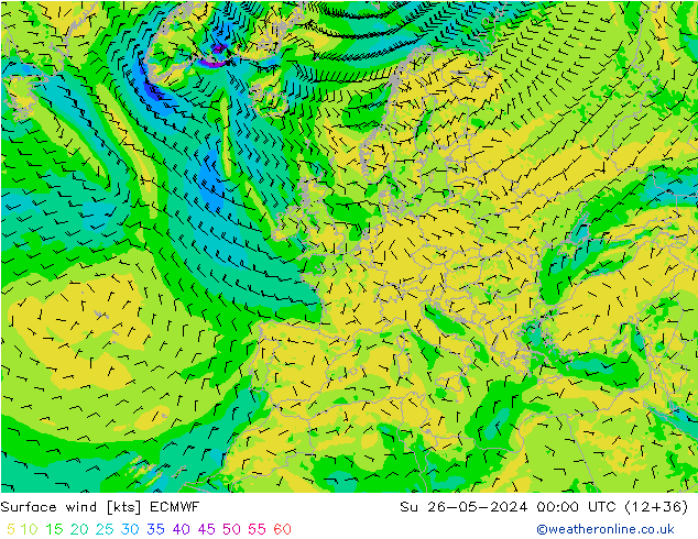 ветер 10 m ECMWF Вс 26.05.2024 00 UTC