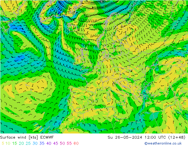 Surface wind ECMWF Su 26.05.2024 12 UTC