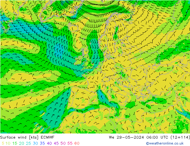 Surface wind ECMWF We 29.05.2024 06 UTC