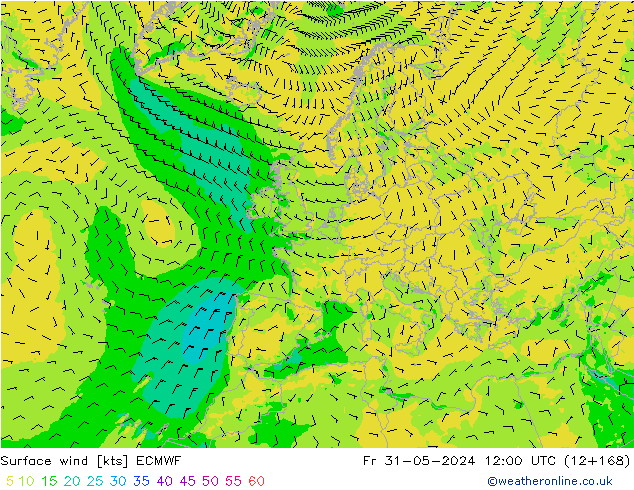 Rüzgar 10 m ECMWF Cu 31.05.2024 12 UTC