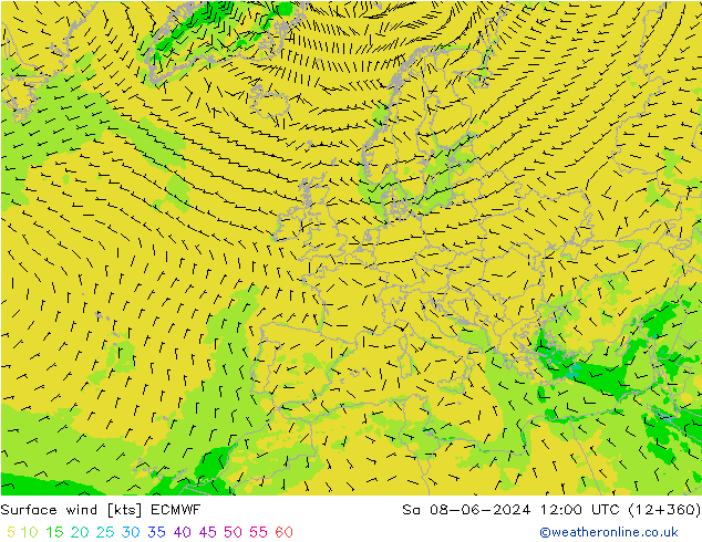 Vent 10 m ECMWF sam 08.06.2024 12 UTC