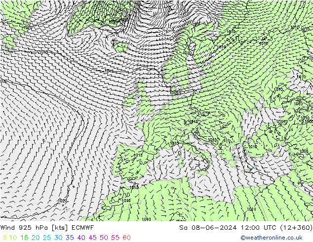 风 925 hPa ECMWF 星期六 08.06.2024 12 UTC