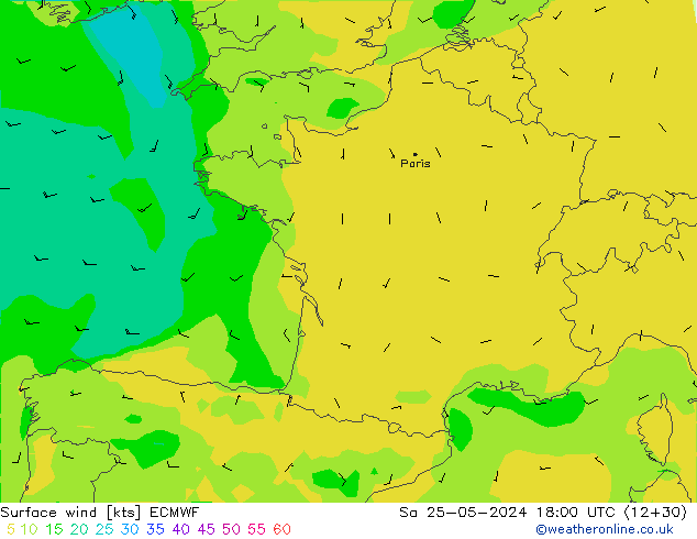 Vent 10 m ECMWF sam 25.05.2024 18 UTC