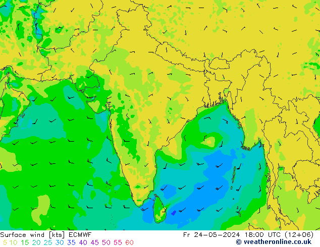 ветер 10 m ECMWF пт 24.05.2024 18 UTC