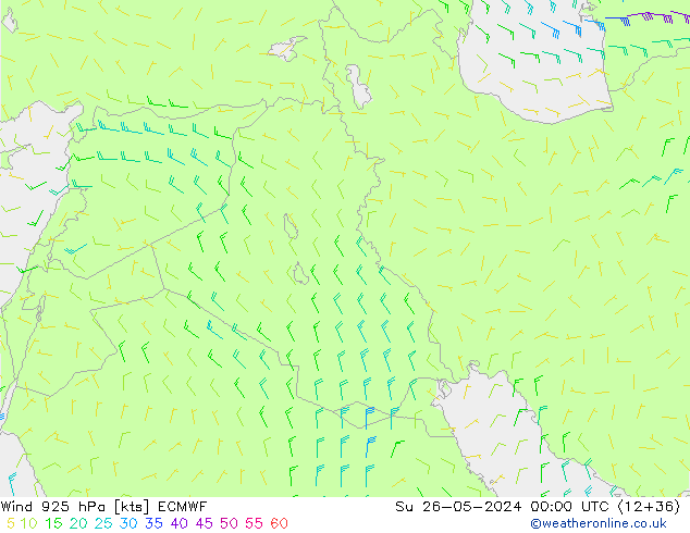 Vent 925 hPa ECMWF dim 26.05.2024 00 UTC