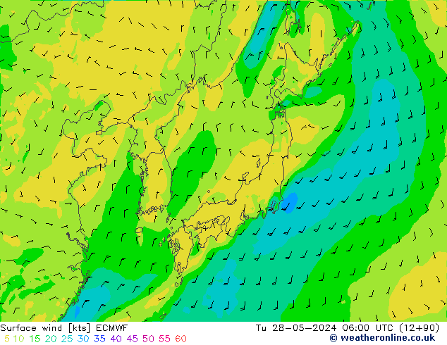 Surface wind ECMWF Tu 28.05.2024 06 UTC