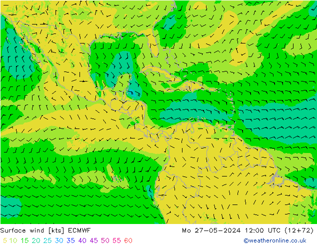 Rüzgar 10 m ECMWF Pzt 27.05.2024 12 UTC