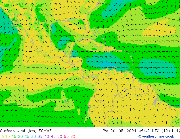 Vento 10 m ECMWF Qua 29.05.2024 06 UTC