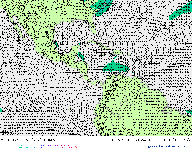 Rüzgar 925 hPa ECMWF Pzt 27.05.2024 18 UTC