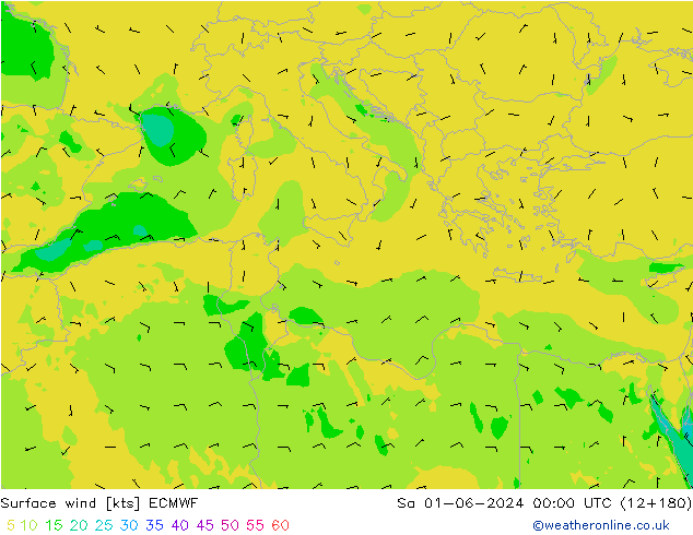 Wind 10 m ECMWF za 01.06.2024 00 UTC