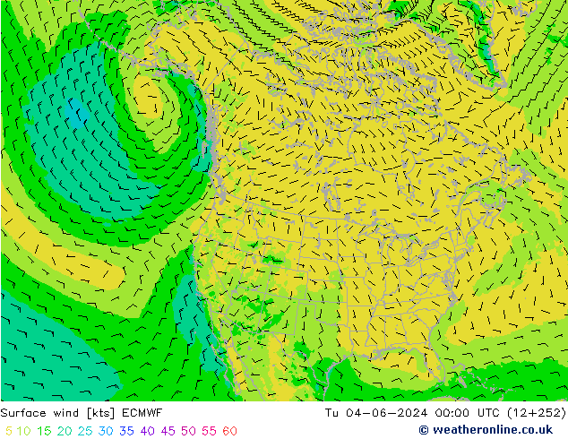 Surface wind ECMWF Út 04.06.2024 00 UTC