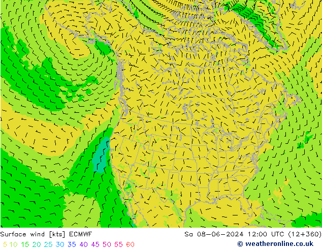 Bodenwind ECMWF Sa 08.06.2024 12 UTC