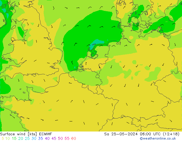 Wind 10 m ECMWF za 25.05.2024 06 UTC