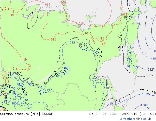 Surface pressure ECMWF Sa 01.06.2024 12 UTC