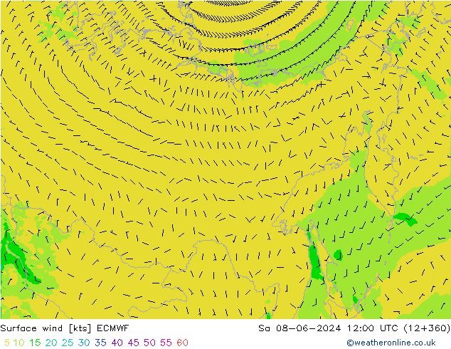 ветер 10 m ECMWF сб 08.06.2024 12 UTC