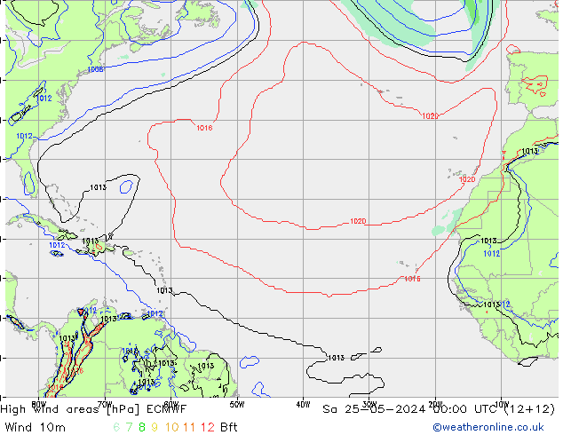 High wind areas ECMWF  25.05.2024 00 UTC