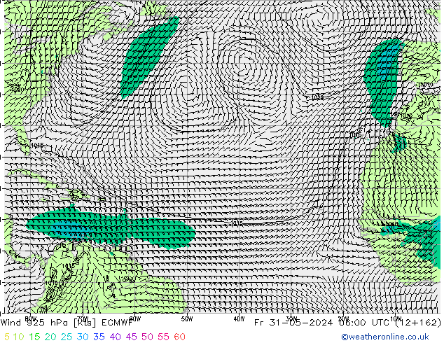 Wind 925 hPa ECMWF vr 31.05.2024 06 UTC