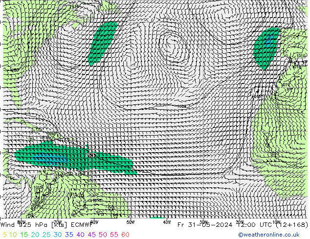  925 hPa ECMWF  31.05.2024 12 UTC