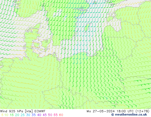 Rüzgar 925 hPa ECMWF Pzt 27.05.2024 18 UTC