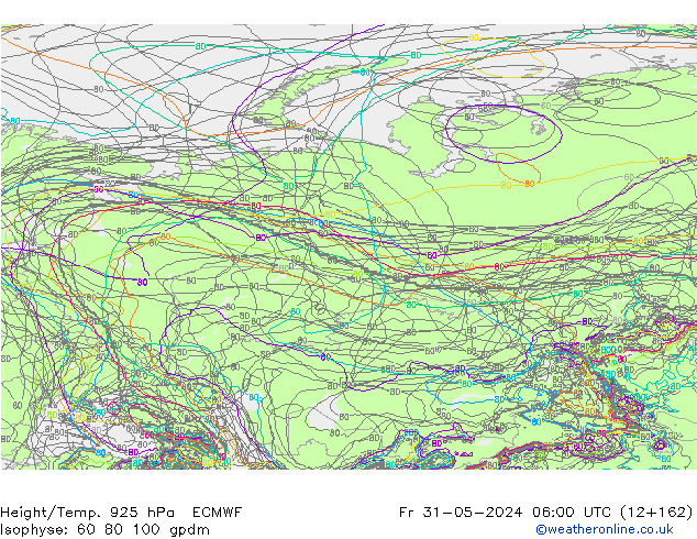 Height/Temp. 925 hPa ECMWF pt. 31.05.2024 06 UTC