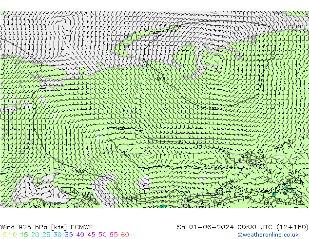 Wind 925 hPa ECMWF Sa 01.06.2024 00 UTC