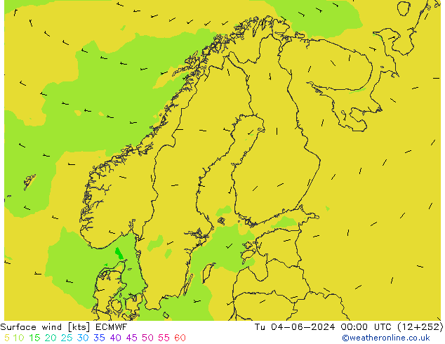 Surface wind ECMWF Tu 04.06.2024 00 UTC