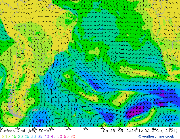 Bodenwind ECMWF Sa 25.05.2024 12 UTC