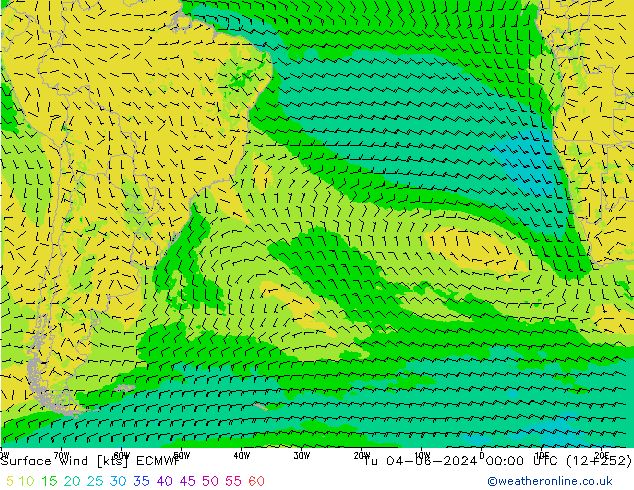 Surface wind ECMWF Tu 04.06.2024 00 UTC