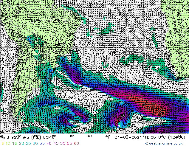  925 hPa ECMWF  24.05.2024 18 UTC