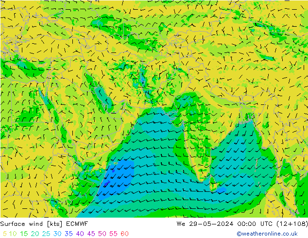 Bodenwind ECMWF Mi 29.05.2024 00 UTC