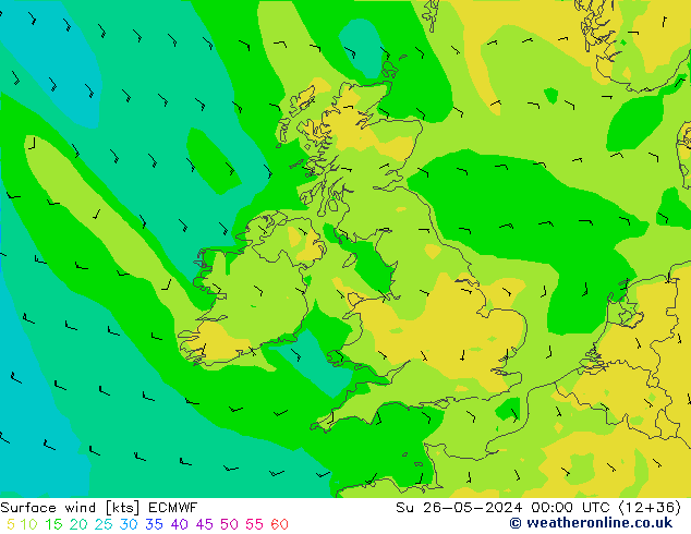  10 m ECMWF  26.05.2024 00 UTC