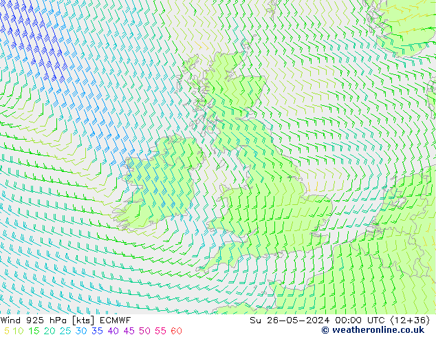 Wind 925 hPa ECMWF zo 26.05.2024 00 UTC