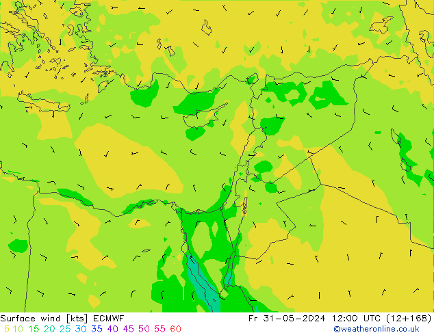 Wind 10 m ECMWF vr 31.05.2024 12 UTC