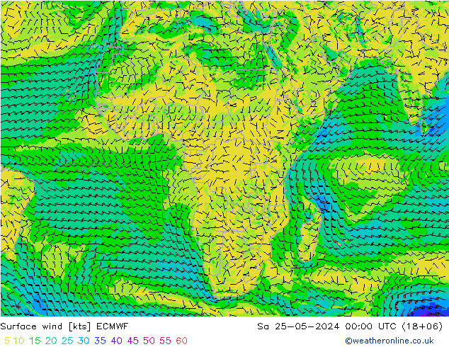 Surface wind ECMWF Sa 25.05.2024 00 UTC